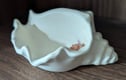 Homeware