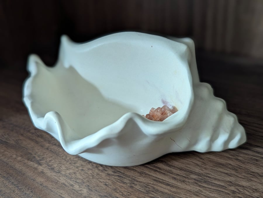 Echoes of the Earth - Shell Dish