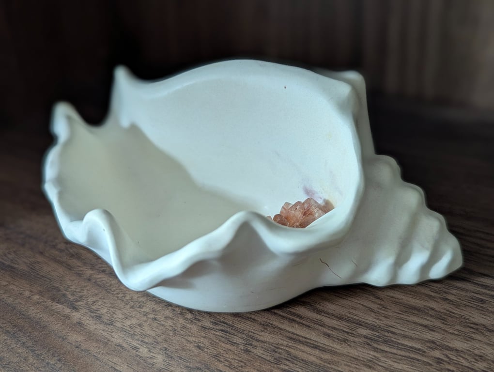 Echoes of the Earth - Shell Dish
