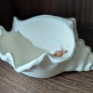 Echoes of the Earth - Shell Dish