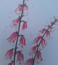'Foxgloves' An original linoprint of foxgloves in three colours. - Image 4