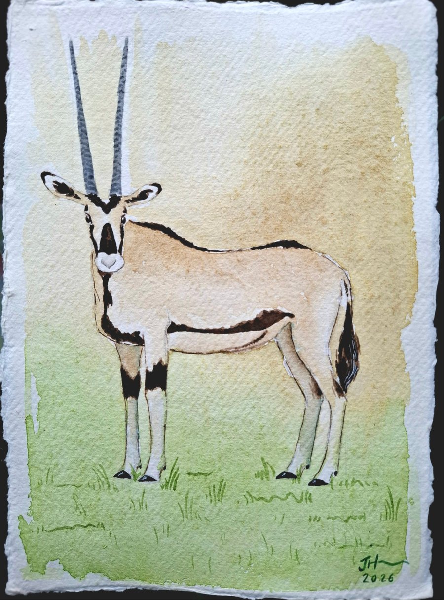 Oryx Original Watercolour Painting