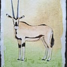 Oryx Original Watercolour Painting