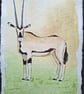 Oryx Original Watercolour Painting