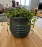 Wheel thrown Seafoam Ridge Pot  - Image 2