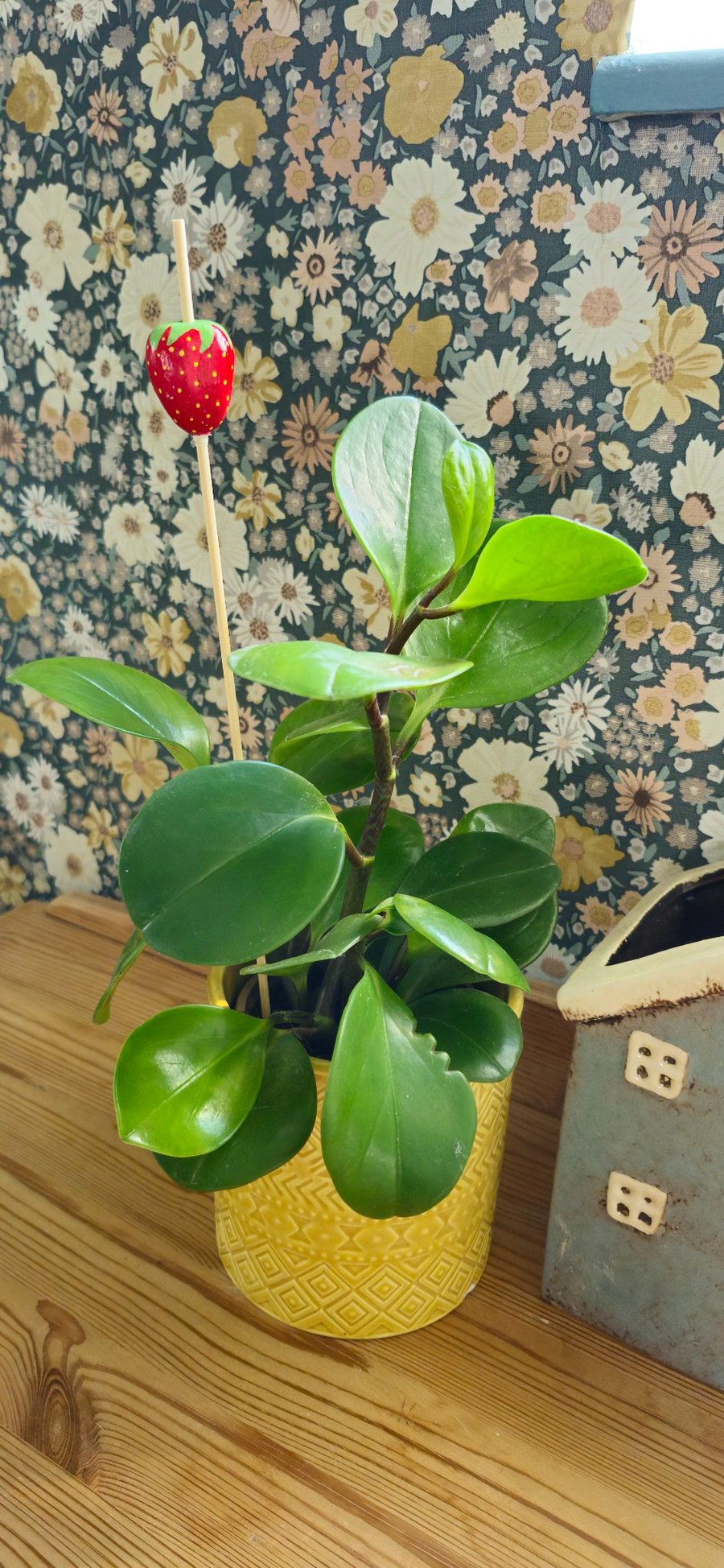 Strawberry Plant Stake