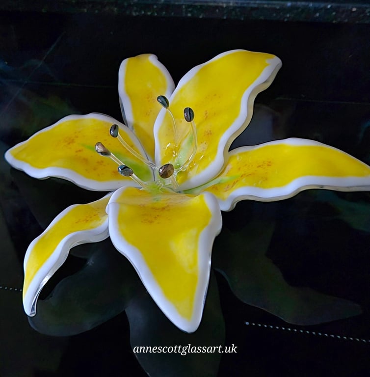 Handmade Fused Glass Matte White and Yellow Lily with Wall-mount