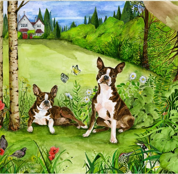 Original Watercolour painting of two Boston Terriers in a garden