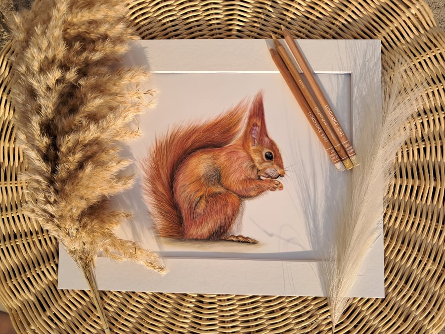 Squirrel British Wildlife Drawing Ltd Ed Fine Art Print 