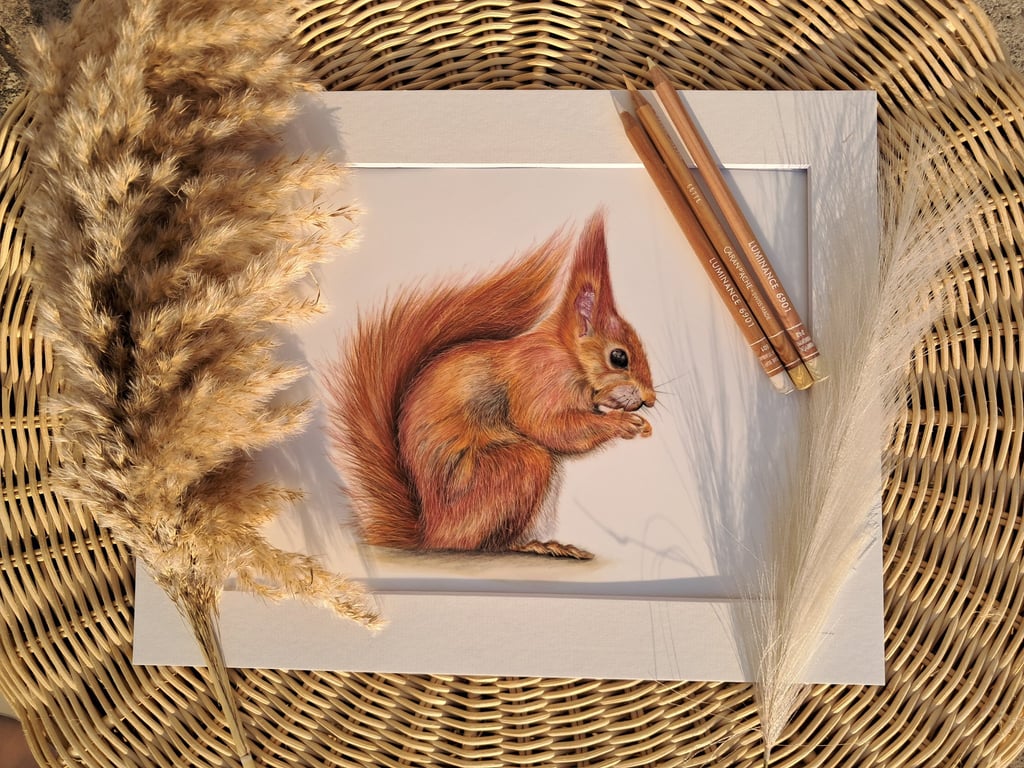 Squirrel British Wildlife Drawing Ltd Ed Fine Art Print 