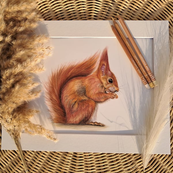 Squirrel British Wildlife Drawing Ltd Ed Fine Art Print 