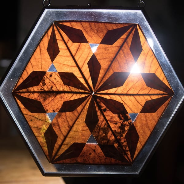 Original Leaf Sculpture - Honeycomb Leaf Star 2