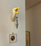 Ceramic Wall Mounted Seagull Head (Squawking) - Image 3