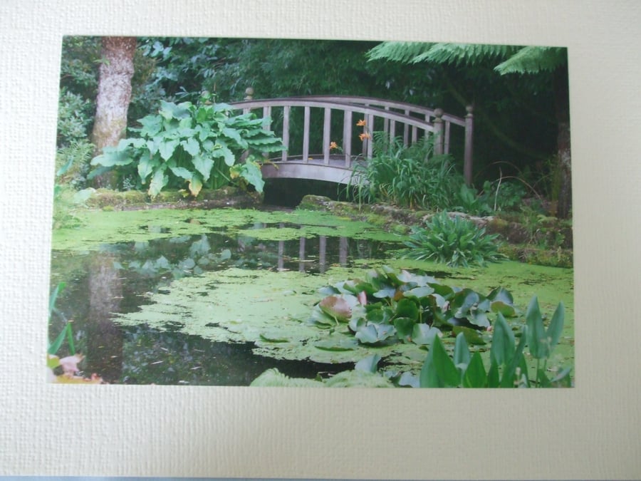 Photographic greetings card of a wooden bridge in Trengwainton N.T. gardens.
