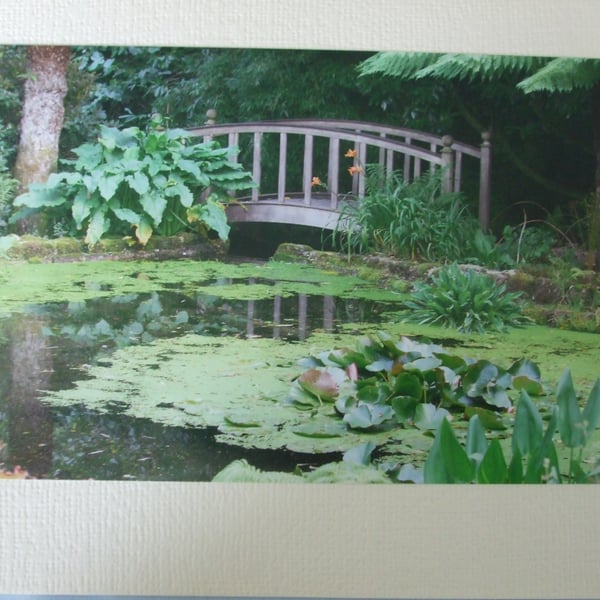 Photographic greetings card of a wooden bridge in Trengwainton N.T. gardens.