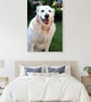 Golden Retriever Dog Canine Portrait Photograph Print - Image 5