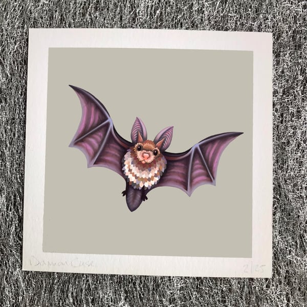 Flying Bat Art Print