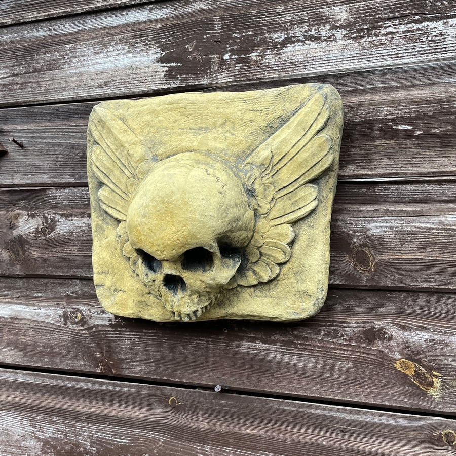 Masonic Curiosity Memento Mori Skull & Winged Vanitas Cartouche Sculpture