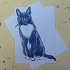 Interested Cat Blank Greeting Card From my Original Watercolour Painting