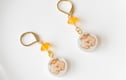 Capybara accessories