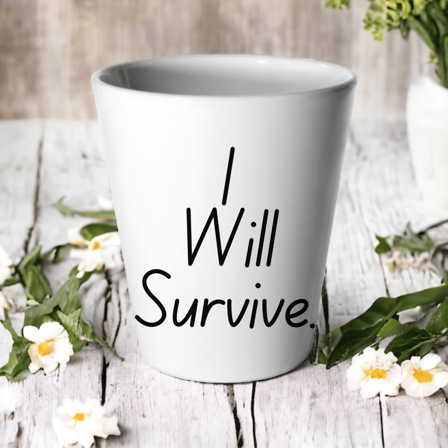I Will survive Plant Pot -Succulent Cactus Flower Pot 