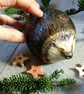 Ceramic Hedgehog sculpture - Image 6