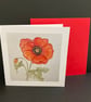 Poppy - Image 2
