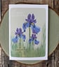 February Birth Flower Card, Iris, Birthday Card, Floral Greeting Cards, Botanica - Image 6