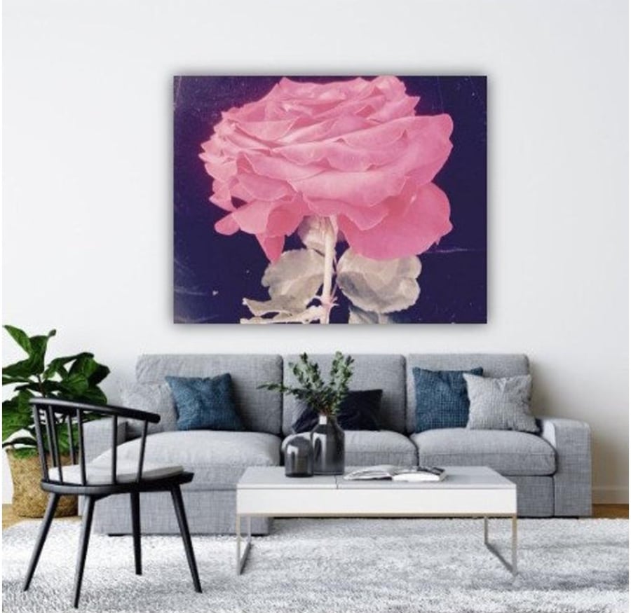 ANTIQUE PINK ROSE.