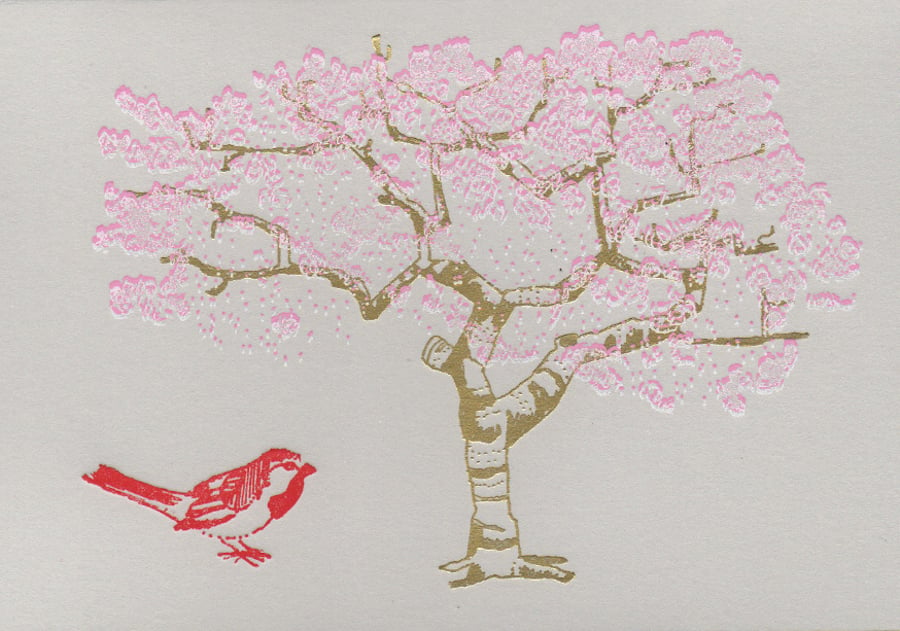 Cherry Blossom - Greetings Card