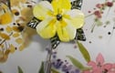 Primroses