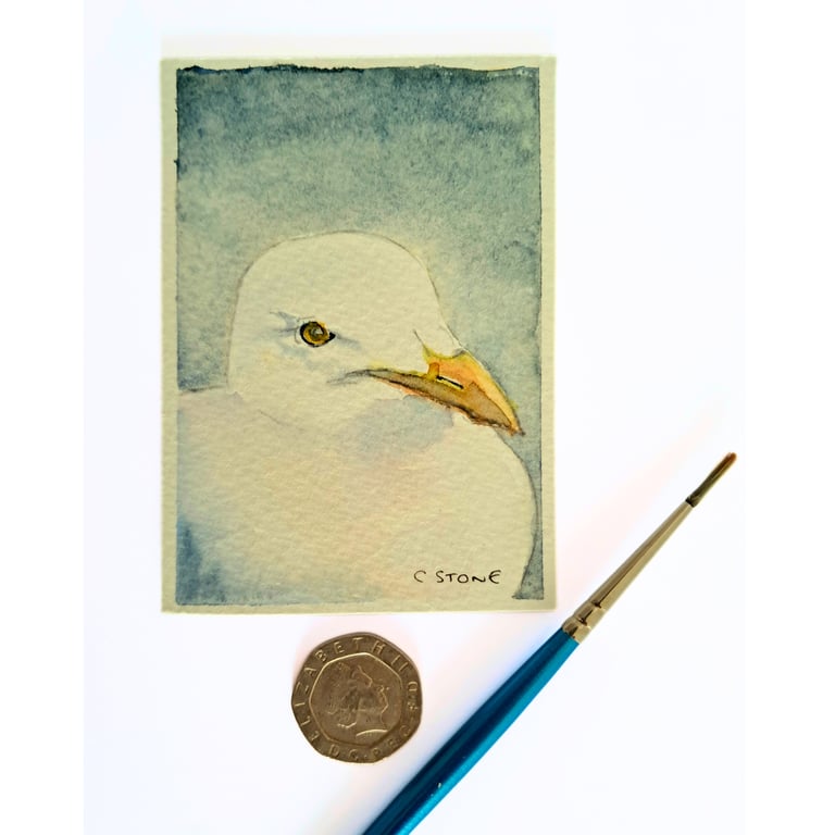 Original ACEO  Seagull Portrait Miniature Painting, Watercolour 