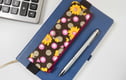 Pencil cases