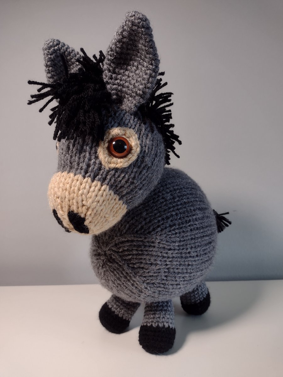 Davy the Donkey