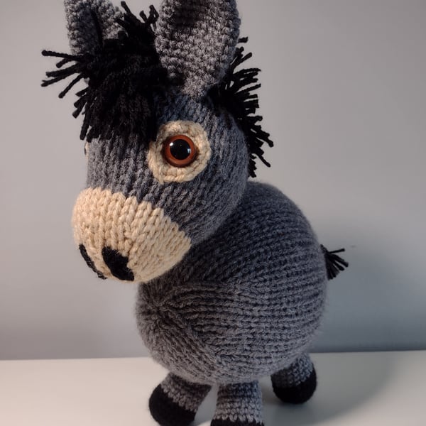 Davy the Donkey