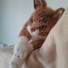 Tortoiseshell Cat, dotpebblesknits design