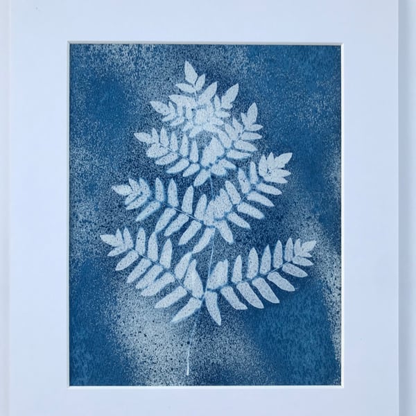 Cyanotype Art, The Osmunda regalis - Spectacular in a Royal Blue Photogram 