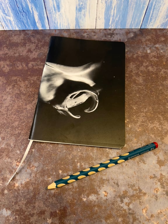 Notebook, Marine themed, A5 (ish), made from up-cycled and recycled materials.