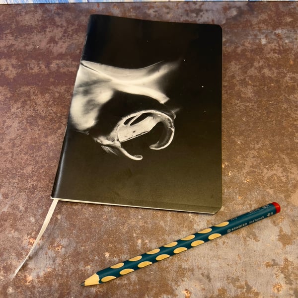 Notebook, Marine themed, A5 (ish), made from up-cycled and recycled materials.