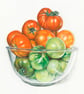 Greetings card - blank - Bowl of Tomatoes - Image 2