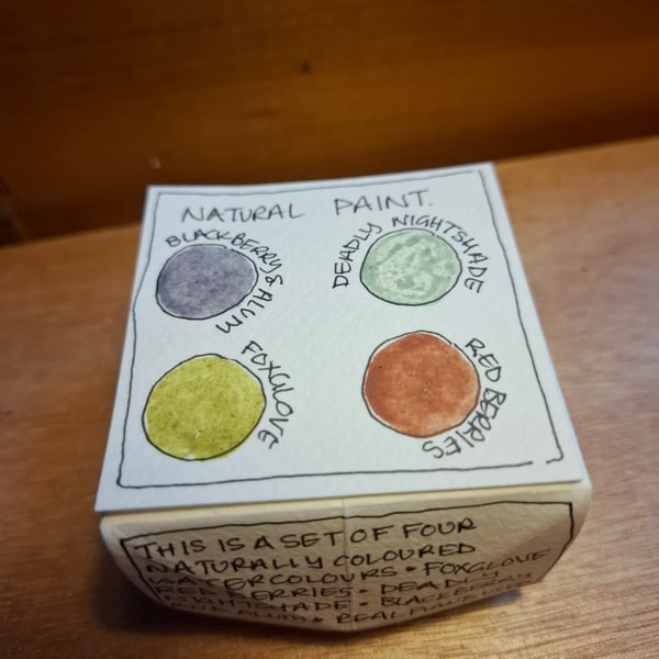 Set of 4 Naturally Coloured Watercolour Paints