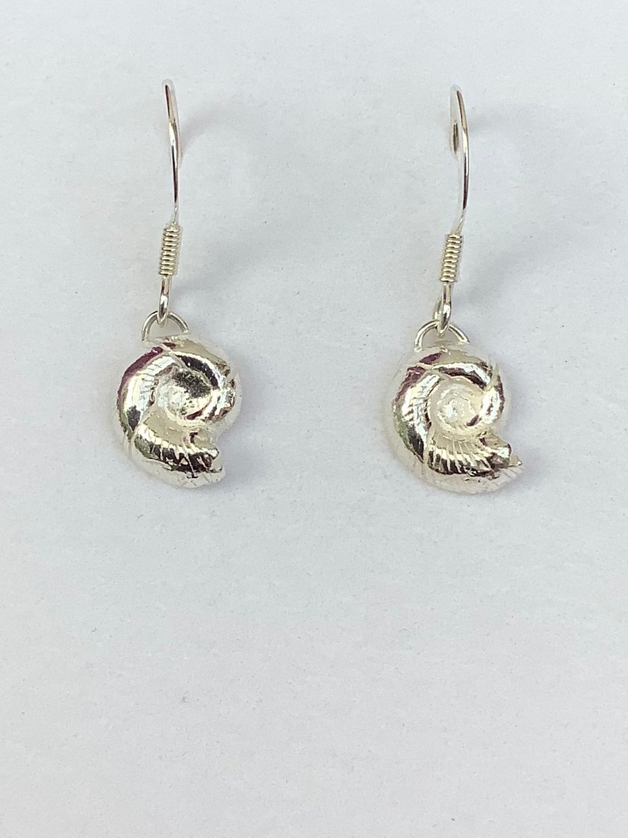 Ammonite earrings