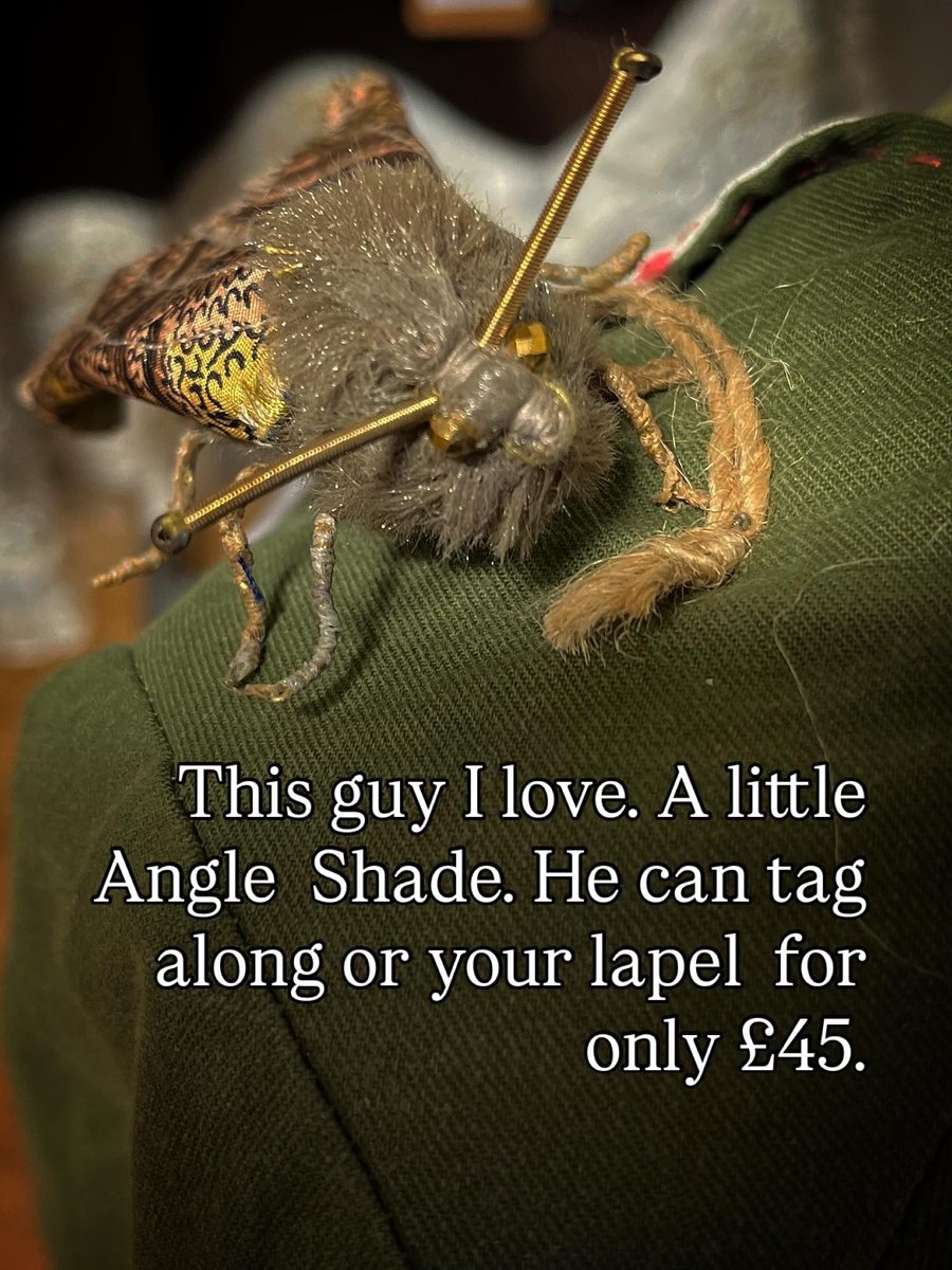 Angle moth brooch