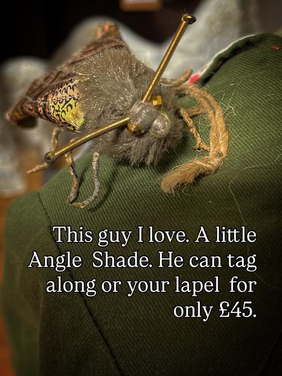 Angle moth brooch