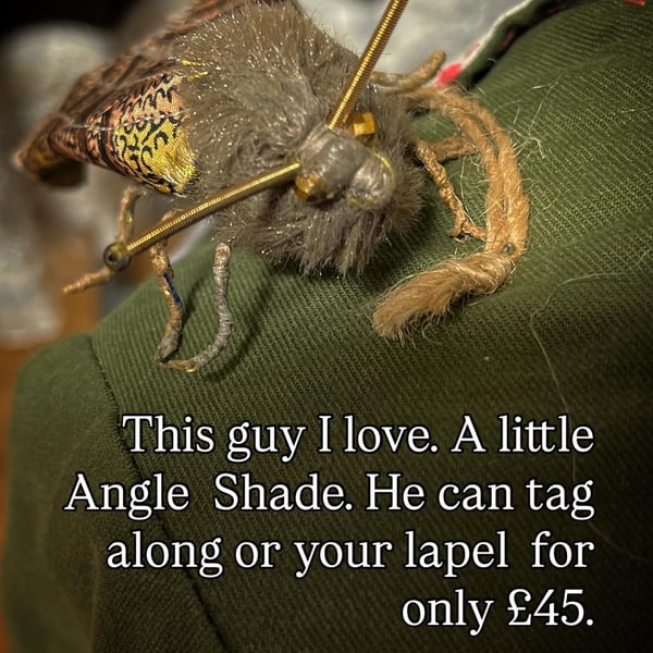 Angle moth brooch