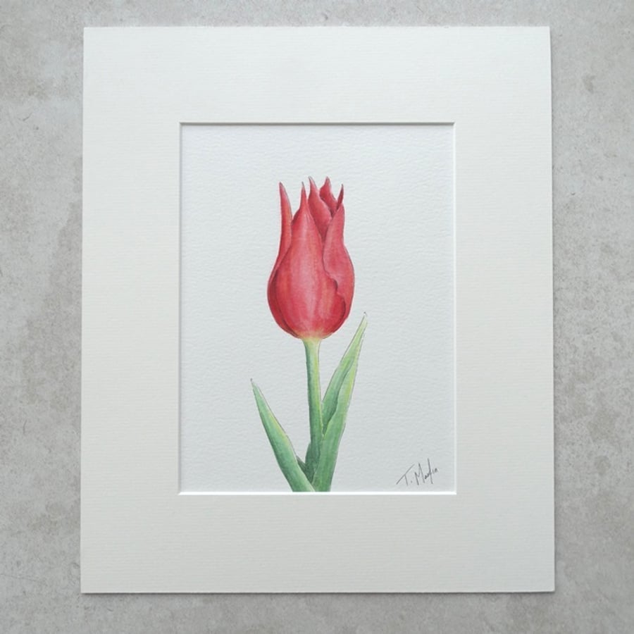 Original 'Tulip' Watercolour (Mount size 12" x 10")