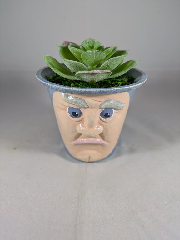 Blue Ceramic Small Container Artificial Succulent Plant Ornament Decoration.