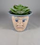 Blue Ceramic Small Container Artificial Succulent Plant Ornament Decoration.