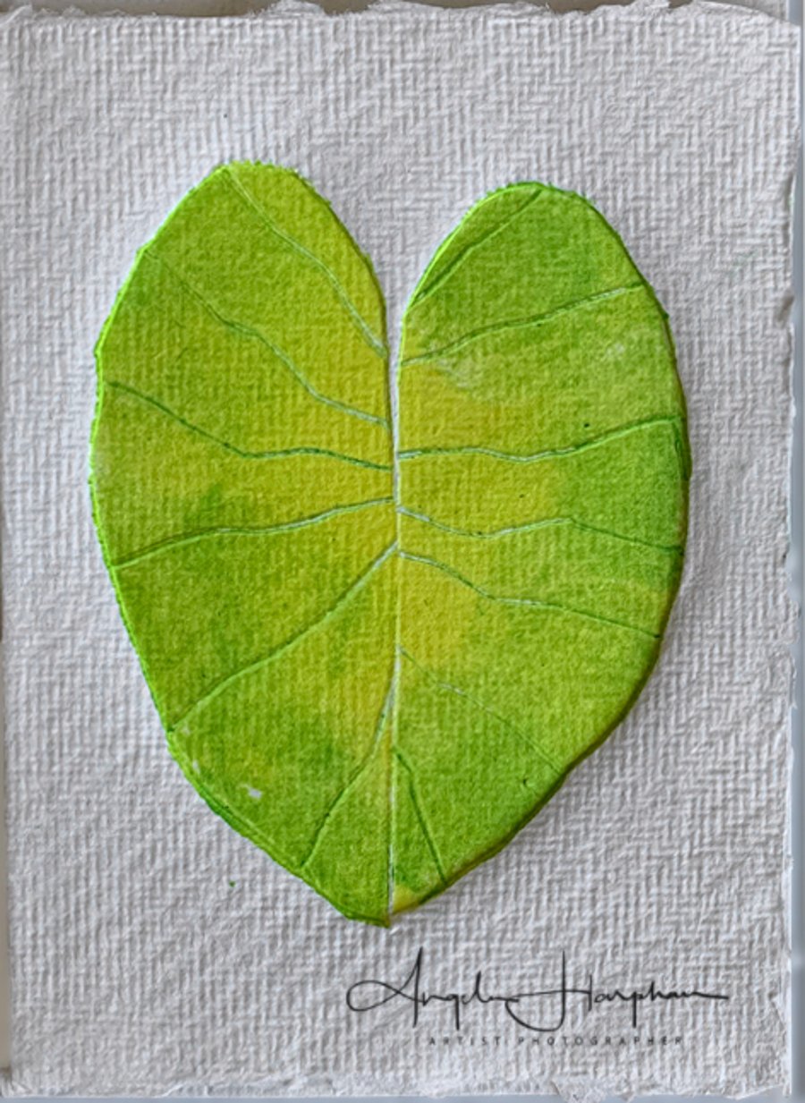 Card Original Lino Prints - Arum Lily Leaf 