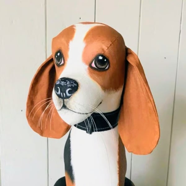 Fully personalised Beagle.